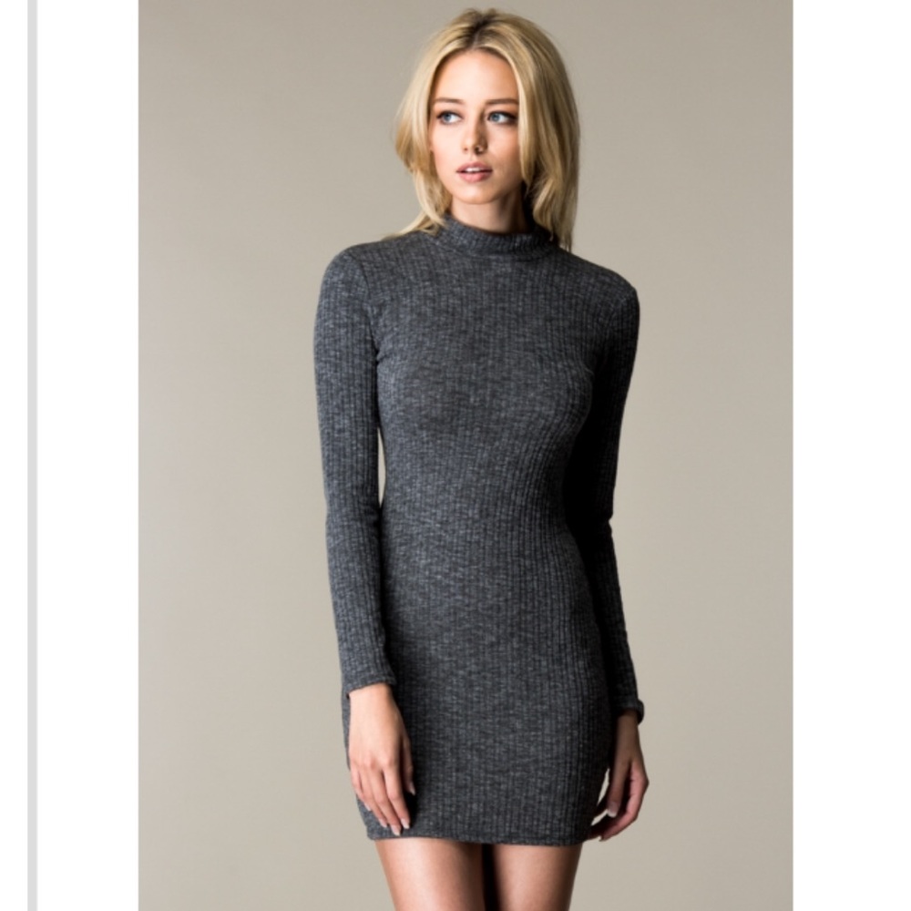 Long Sleeve Turtle Neck Mini Dress